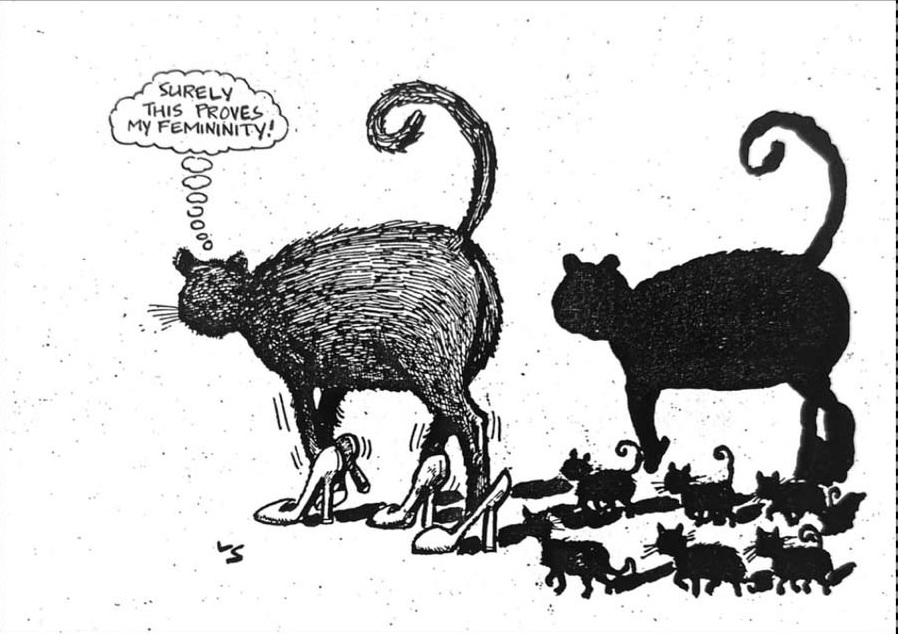 Cartoon accompanying the column: SURELY THIS PROVES MY FEMININITY!