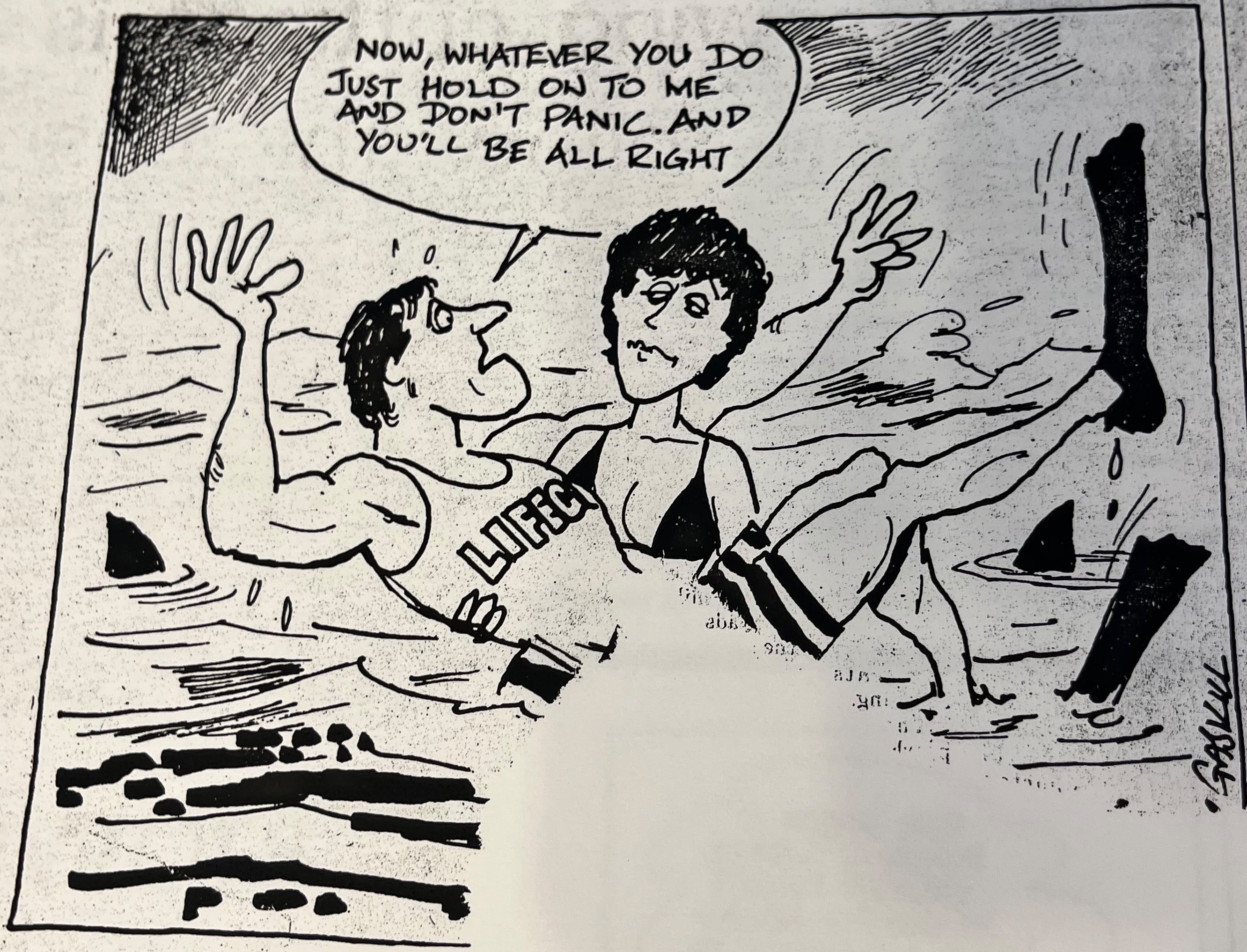 Cartoon accompanying the column: Now, whatever you do just hold on to me and don’t panic. And you’ll be all right.