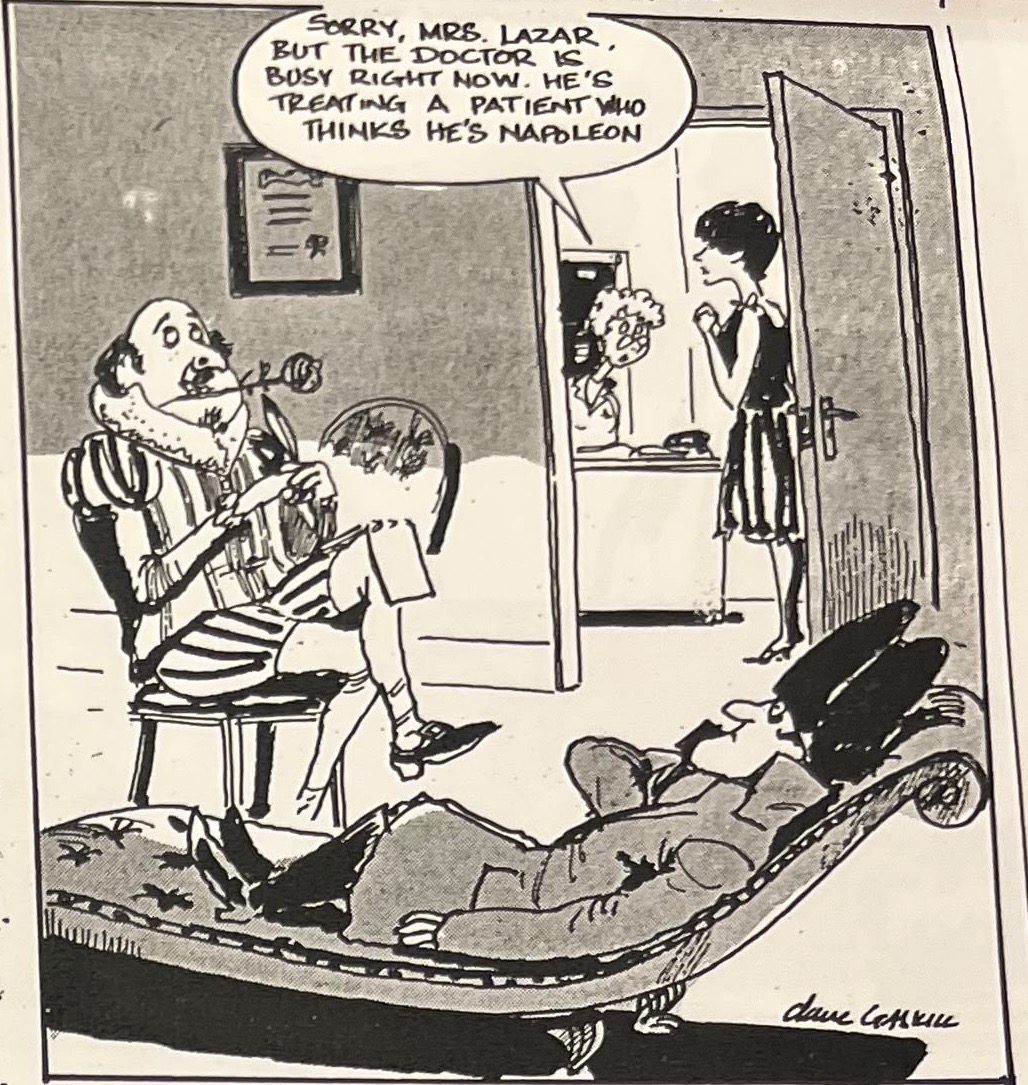 Cartoon accompanying the column: “Sorry, Mrs Lazar, but the doctor is busy right now. He’s treating a patient who thinks he’s Napoleon.”