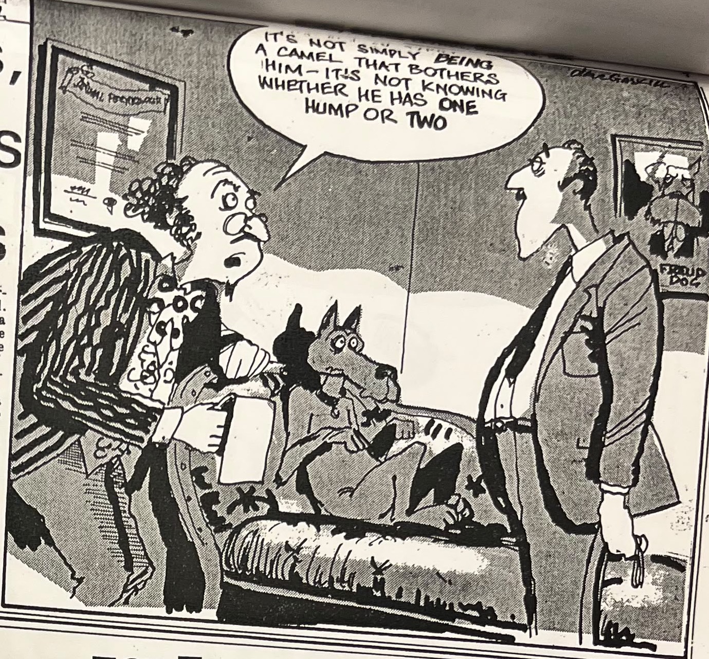 Cartoon accompanying the column: “It’s not simply being a camel that bothers him, it’s not knowing whether he has one hump or two.”