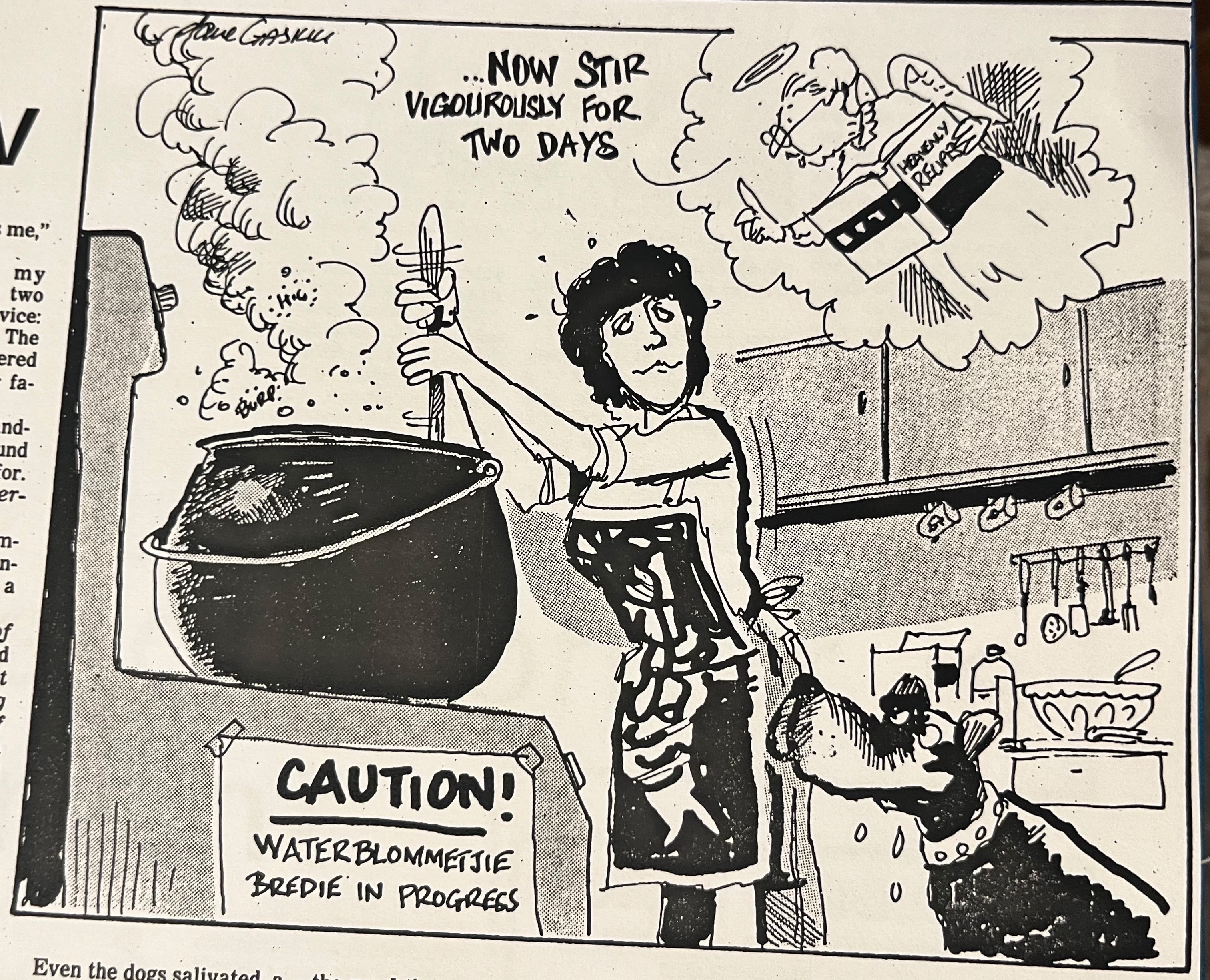 Cartoon accompanying the column: “... Now stir vigorously for two days.” A warning reads “Caution! Waterblommetjie bredie in progress”.
