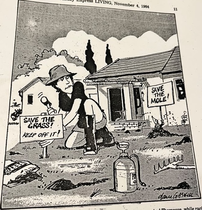 Cartoon accompanying the column: “Save the grass! Keep off it!” and “Save the mole!”