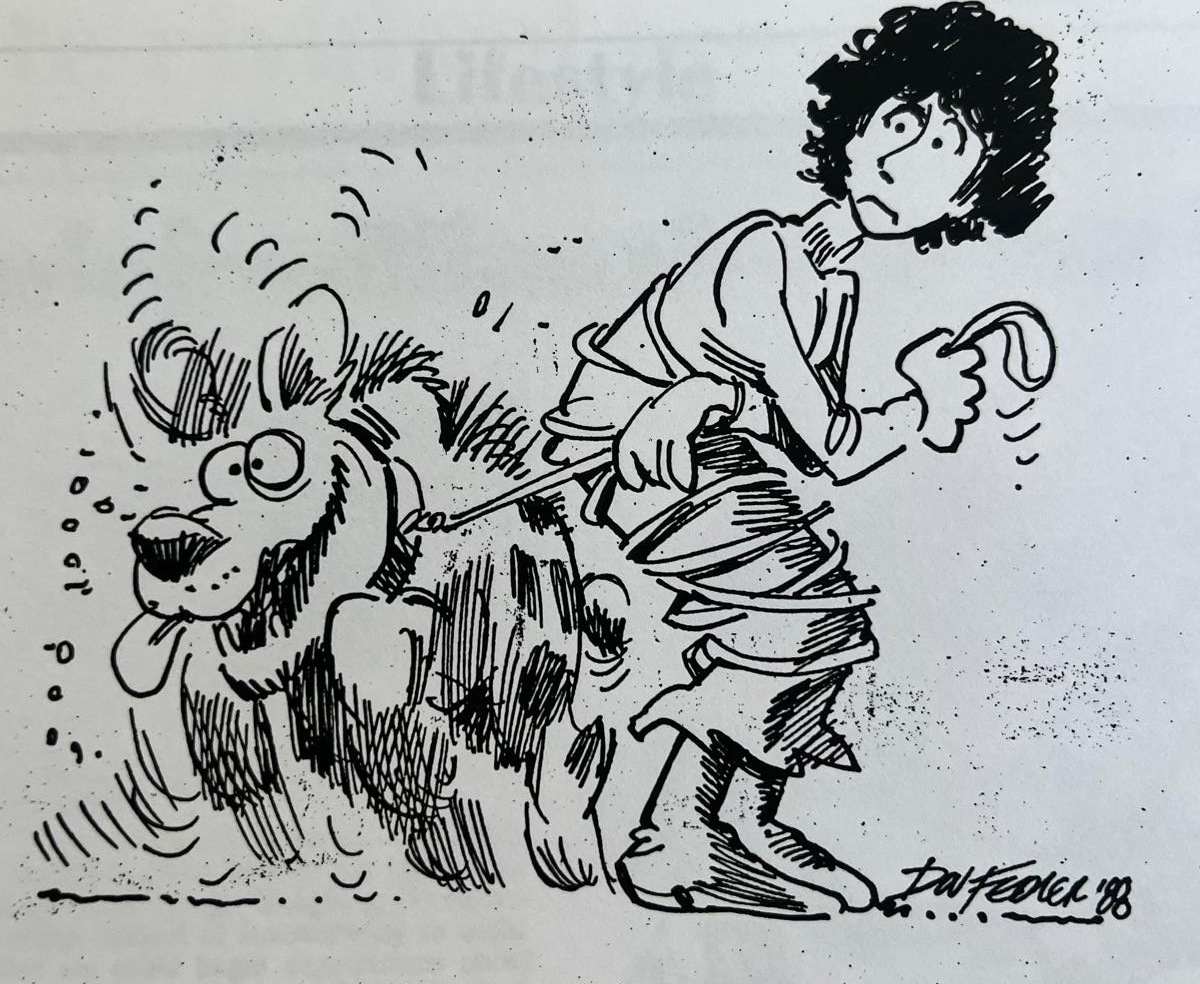 Cartoon accompanying the column: Mahoney straining forward on the lead, hauling Carol along behind her.